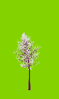 greenshift tree