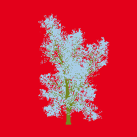 greenshift tree