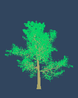 greenshift tree
