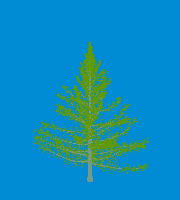 greenshift tree