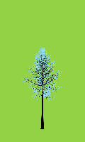 greenshift tree