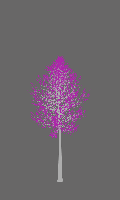 greenshift tree