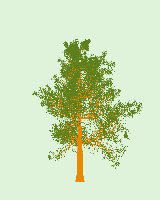greenshift tree