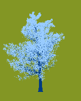 greenshift tree