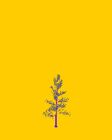greenshift tree