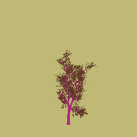 greenshift tree