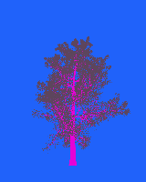 greenshift tree