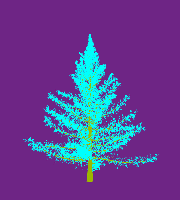 greenshift tree