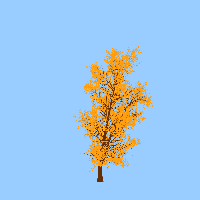 greenshift tree