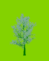 greenshift tree