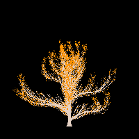 greenshift tree