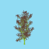 greenshift tree
