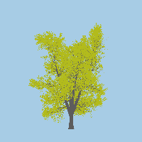 greenshift tree