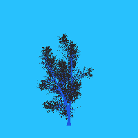 greenshift tree