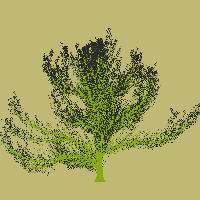 greenshift tree