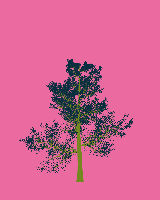 greenshift tree