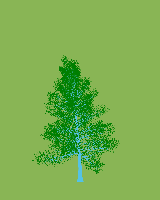 greenshift tree