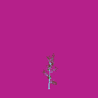 greenshift tree