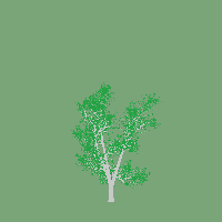 greenshift tree