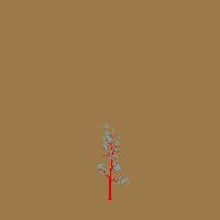 greenshift tree
