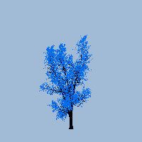 greenshift tree