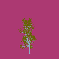 greenshift tree