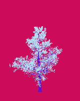 greenshift tree