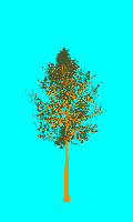 greenshift tree