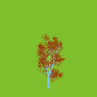 greenshift tree