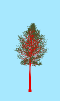 greenshift tree