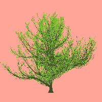 greenshift tree