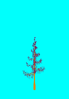 greenshift tree