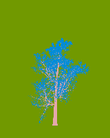 greenshift tree