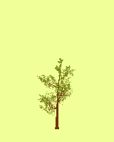 greenshift tree