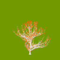 greenshift tree