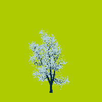 greenshift tree