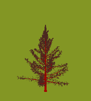 greenshift tree