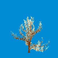 greenshift tree