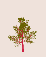 greenshift tree