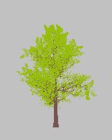greenshift tree