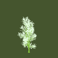 greenshift tree