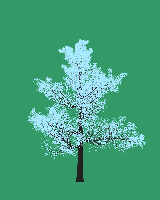 greenshift tree