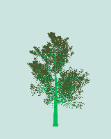 greenshift tree