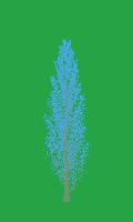greenshift tree