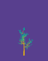 greenshift tree