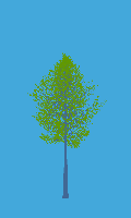 greenshift tree