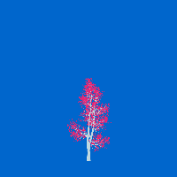 greenshift tree