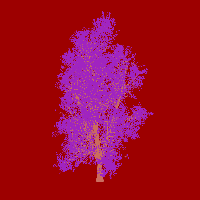 greenshift tree