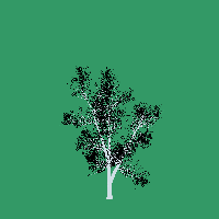 greenshift tree