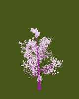greenshift tree